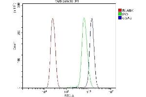 Flow Cytometry analysis of U937 cells using anti-CGAS antibody (ABIN7600586).