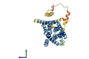 Protein Structure (PS) image for Solute Carrier Family 39 (Zinc Transporter), Member 13 (SLC39A13) (AA 1-371) protein (His tag) (ABIN7551652)