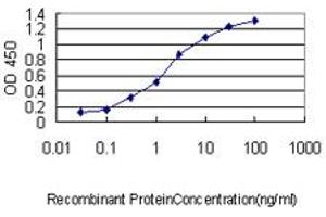 ELISA image for anti-BCL2-Like 1 (BCL2L1) (AA 1-233) antibody (ABIN560043)