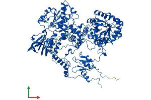 Protein Structure (PS) image for Dihydropyrimidine Dehydrogenase (DPYD) (AA 1-1025) protein (His tag) (ABIN7564587)