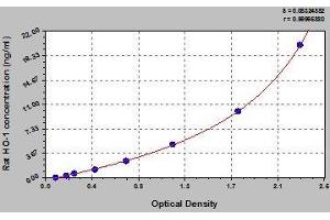 Typical standard curve (HMOX1 ELISA 试剂盒)