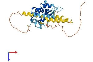 KH Homology Domain Containing 1 (KHDC1) (AA 1-237) protein (His tag)
