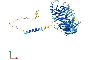 AlphaFold protein structure predicition of Human Recombinant FAM234A Protein, UniprotID Q9H0X4