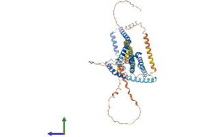 Protein Structure (PS) image for Potassium Channel, Subfamily K, Member 10 (KCNK10) (AA 1-538) protein (His tag) (ABIN7548666)