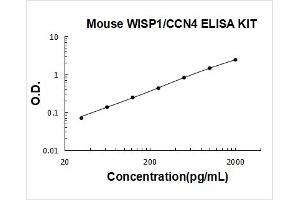 WNT1 Inducible Signaling Pathway Protein 1 (WISP1) ELISA Kit