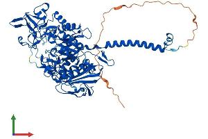 Protein Structure (PS) image for Solute Carrier Family 3 Member 1 (SLC3A1) (AA 1-685) protein (His tag) (ABIN7560062)