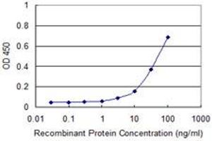 Detection limit for recombinant GST tagged FHIT is approximately 10ng/ml as a capture antibody. (FHIT 抗体  (AA 31-130))