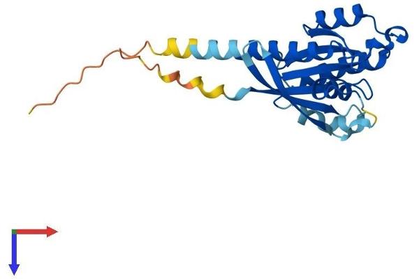 RAB17 Protein (AA 1-212) (His tag)