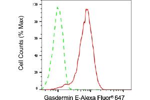 Flow cytometric analysis of Gasdermin E expression in HepG2 cells using Gasdermin E antibody (ABIN7799622), 1:2,000). (Recombinant Non-Syndromic Hearing Impairment Protein 5 (GSDME) 抗体)
