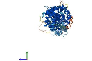 AlphaFold protein structure predicition of Mouse Recombinant Tmco6 Protein, UniprotID Q8BQX5 (TMCO6 Protein (AA 1-494) (His tag))