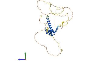 Protein Structure (PS) image for Orthodenticle Homeobox 2 (OTX2) (AA 1-289) protein (His tag) (ABIN7550477)