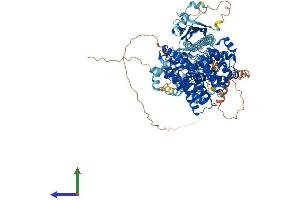 Protein Structure (PS) image for phosphodiesterase 11A (PDE11A) (AA 1-933) protein (His tag) (ABIN7562790)
