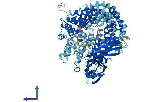 Protein Structure (PS) image for Coatomer Protein Complex, Subunit gamma 2 (COPG2) (AA 1-871) protein (His tag) (ABIN7565149)
