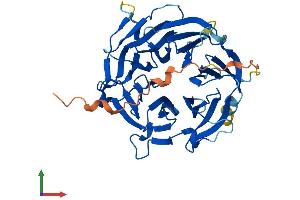 Protein Structure (PS) image for WD Repeat Domain 89 (WDR89) (AA 1-387) protein (His tag) (ABIN7545168)