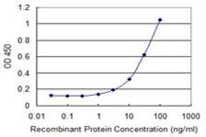 Detection limit for recombinant GST tagged FGGY is 1 ng/ml as a capture antibody. (FGGY 抗体  (AA 1-99))