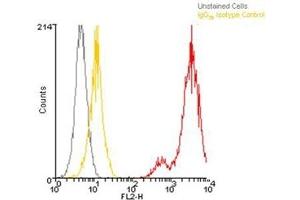 Flow cytometry analysis, intracellular stained, of 106 Jurkat cells using LRRC32, mAb (Plato-1) (PE conjugate) at a concentration of 10μg/ml. (LRRC32 抗体  (AA 20-627) (PE))