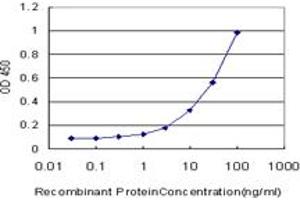 Detection limit for recombinant GST tagged VRK2 is approximately 1ng/ml as a capture antibody. (VRK2 抗体  (AA 260-360))
