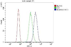 Flow Cytometry analysis of U937 cells using anti-HOMER3 antibody (ABIN7601092). (HOMER3 抗体  (AA 282-360))