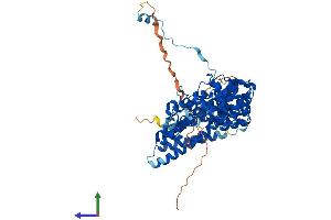 AlphaFold protein structure predicition of Mouse Recombinant Insc Protein, UniprotID Q3HNM7