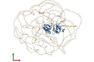 Protein Structure (PS) image for Insulin Receptor Substrate 2 (IRS2) (AA 1-1321) protein (His tag) (ABIN7563536)