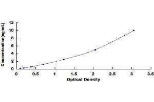 Typical standard curve (Cytokeratin 1 ELISA 试剂盒)