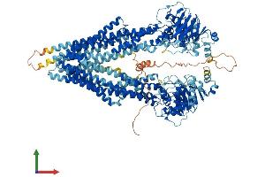 Protein Structure (PS) image for ATP-Binding Cassette, Sub-Family B (MDR/TAP), Member 1B (ABCB1B) (AA 1-1276) protein (His tag) (ABIN7562747)