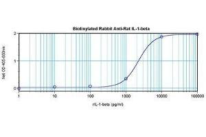 Image no. 1 for anti-Interleukin 1, beta (IL1B) antibody (Biotin) (ABIN465798) (IL-1 beta 抗体  (Biotin))