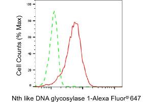 Flow cytometric analysis of Nth like DNA glycosylase 1 expression in HepG2 cells using Nth like DNA glycosylase 1 antibody (ABIN7799628), 1:2,000). (Recombinant Nth Endonuclease III-Like 1 (NTHL1) 抗体)