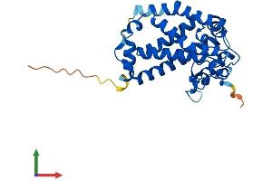 Protein Structure (PS) image for Cholesterol 25-Hydroxylase (CH25H) (AA 1-272) protein (His tag) (ABIN7553428)