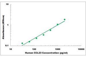 Representative Standard Curve (CCL23 ELISA 试剂盒)