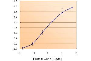 Enzyme Immunoassay (EIA) image for anti-Ferritin, Light Polypeptide (FTL) (C-Term) antibody (ABIN334402)