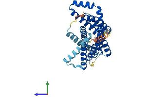 Protein Structure (PS) image for CMP-Sialic Acid Transporter (CMPST) (AA 1-337) protein (His tag) (ABIN7551714)