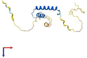 ID4 Protein (AA 1-161) (His tag)