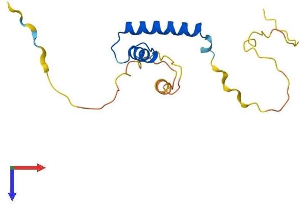 ID4 Protein (AA 1-161) (His tag)