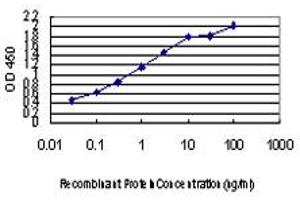 Detection limit for recombinant GST tagged LLGL2 is approximately 0. (LLGL2 抗体  (AA 101-199))