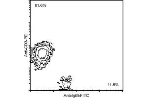 Flow Cytometry (FACS) image for Mouse anti-Chicken IgM antibody (FITC) (ABIN371378) (小鼠 anti-小鸡 IgM Antibody (FITC))