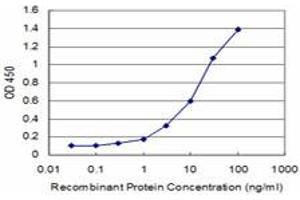 Detection limit for recombinant GST tagged GEMIN6 is approximately 0. (GEMIN6 抗体  (AA 1-167))