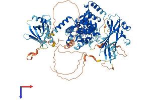 Protein Structure (PS) image for RAB GTPase Activating Protein 1-Like (RABGAP1L) (AA 1-815) protein (His tag) (ABIN7551237)
