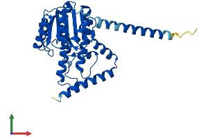 AlphaFold protein structure predicition of Mouse Recombinant Hsd17b12 Protein, UniprotID O70503
