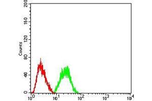 Flow Cytometry (FACS) image for anti-Chromobox Homolog 2 (CBX2) (AA 402-525) antibody (ABIN5542422)