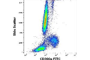 Flow cytometry surface staining pattern of human peripheral whole blood stained using anti-human CD300e (UP-H2) FITC antibody (4 μL reagent / 100 μL of peripheral whole blood). (CD300E 抗体  (FITC))