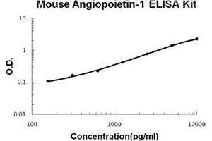 Mouse Angiopoietin-1 PicoKine ELISA Kit standard curve (Angiopoietin 1 ELISA 试剂盒)