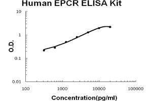 Human EPCR Accusignal ELISA Kit Human EPCR AccuSignal ELISA Kit standard curve. (PROCR ELISA 试剂盒)