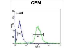 Flow Cytometry (FACS) image for anti-Ubiquitously Transcribed Tetratricopeptide Repeat Gene, Y-Linked (UTY) (AA 1247-1276), (C-Term) antibody (ABIN653016)