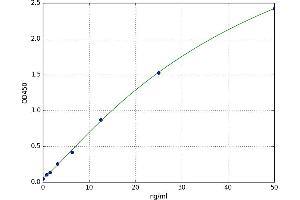 CD93 (CD93) ELISA Kit