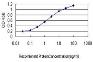 Detection limit for recombinant GST tagged EPOR is approximately 0. (EPOR 抗体  (AA 31-130))