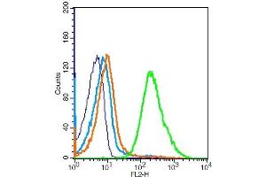 Mouse splenocytes probed with TLR1 Polyclonal Antibody, Unconjugated  at 1:100 for 30 minutes followed by incubation with a conjugated secondary (PE Conjugated) (green) for 30 minutes compared to control cells (blue), secondary only (light blue) and isotype control (orange). (TLR1 抗体  (AA 101-200))