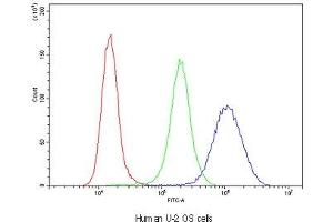 Flow cytometry testing of human U-2 OS cells with Glutathione Reductase antibody at 1ug/10^6 cells (blocked with goat sera) (Glutathione Reductase 抗体)