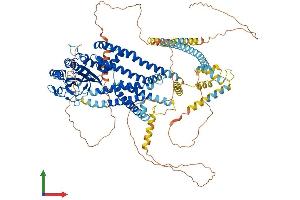Protein Structure (PS) image for Polycystic Kidney Disease 2 (Autosomal Dominant) (PKD2) (AA 1-968) protein (His tag) (ABIN7554932)