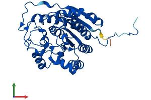 Protein Structure (PS) image for Arginase, Liver (ARG1) (AA 1-322) protein (His tag) (ABIN7552202)